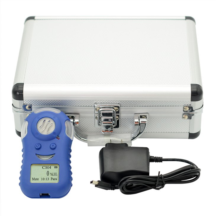 Portable Methane Gas Detector